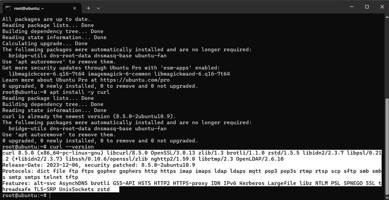 embedded-image-tp1r2wte.png